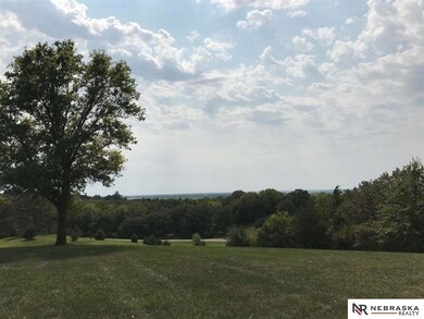 9990 N 225th St, Elkhorn, NE 68022 - photo 5