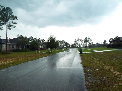 Windswept Estates 005