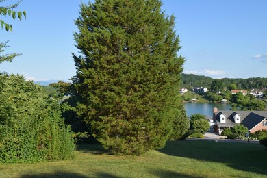 325 Gadusi Ln, Loudon, TN 37774 - photo 4