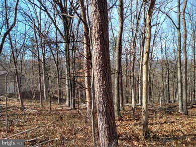 B Timber Ridge Rd, Berkeley Springs, WV 25411 - photo 4