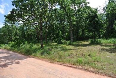 22356 Juanita Ln, Tecumseh, OK 74873 - photo 5