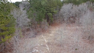 DJI_0564