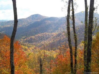 199 Overlook Dr unit 12, Mars Hill, NC 28754 - photo 3