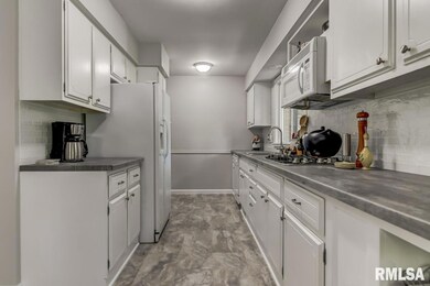 30 W Hazel Dell unit 1, Springfield, IL 62703 - photo 7