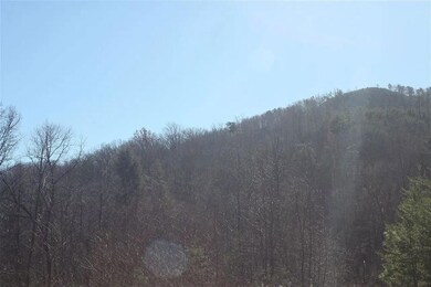 Appleview Way unit Newport TN 37821, Newport, TN 37713 - photo 3