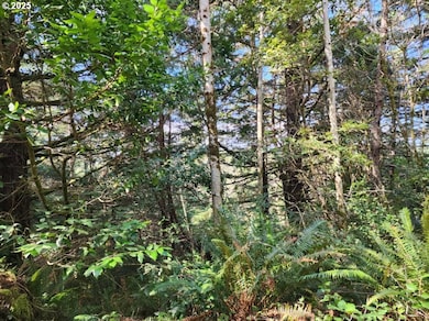 0 Jefferson St unit Lot 1&6 391642538, Port Orford, OR 97465 - photo 4