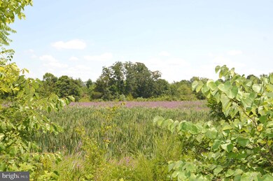 25365 Crossfield Dr, Chantilly, VA 20152 - photo 3