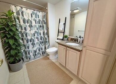 121 Centre St unit PH2, Brookline, MA 02446 - photo 7