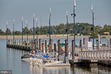 The Haven unit 515, National Harbor, MD 20745 - photo 7