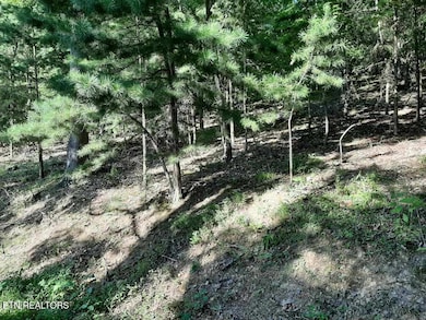 0 Deer Pond Cir unit 1281469, Lafollette, TN 37766 - photo 7