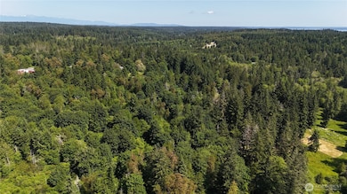 18771 & 19789 Erickson Rd SW, Longbranch, WA 98351 - photo 3