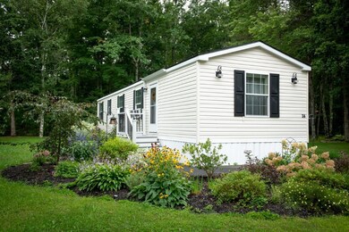 Photo-2 (Medium)