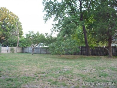 230 N Front St, Virginia, IL 62691 - photo 5