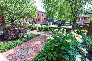Front Yard Garden