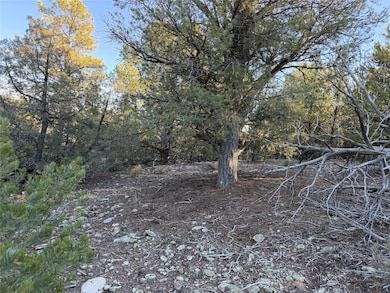 TBD Talavera Lot: 7-B2, Tierra Amarilla, NM 87575 - photo 3