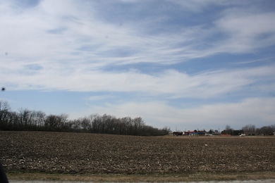 0 W Wilmington Rd, Peotone, IL 60468 - photo 2