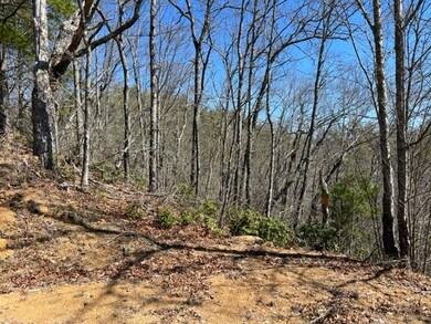 Lot 4 Mystic Ridge Way W, Topton, NC 28734 - photo 4