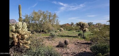 4635 E Roundup View from property 2