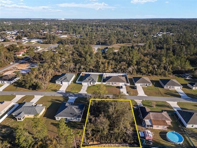 00 SW 39th Cir, Ocala, FL 34473 - photo 3