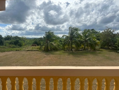 carr. 681 Bo Islote, Arecibo, PR 00612 - photo 7