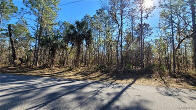 166 Daisy St, Homosassa, FL 34446 - photo 4