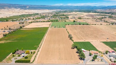 TBD Iris Rd, Austin, CO 81410 - photo 4