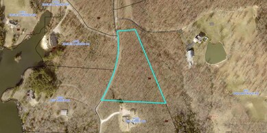 14 Buzzard Rock Rd, Pendleton Township, MO 63640 - photo 2