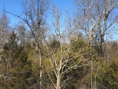 0 Highway 64 E unit RTC2352975, Shelbyville, TN 37160 - photo 4