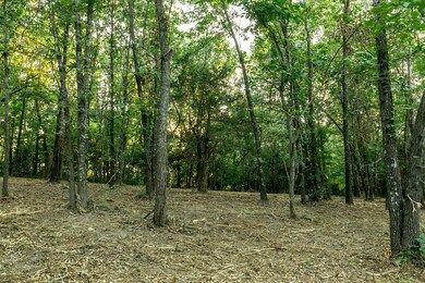 Lot 1 Ph 2 Misty River Subdivision, Nixa, MO 65714 - photo 6