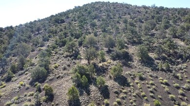 20202016v No Name Rd, Williams, AZ 86046 - photo 7