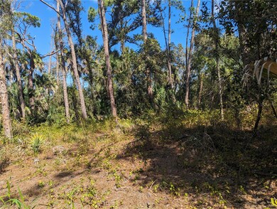 0 Apricola Rd unit Lot 14 MFRT3486908, North Port, FL 34286 - photo 2
