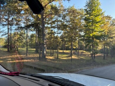 88 Cr 32, Dennis, MS 38838 - photo 6