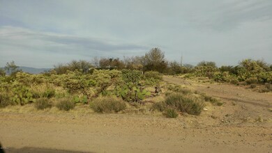 IMAG0057