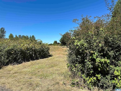 NKA Taylor Ranch Rd, Sequim, WA 98382 - photo 2