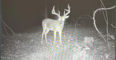 0 Holly Grove Meeks Rd unit 4131879, Cruger, MS 38924 - photo 4