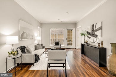 4560 Strutfield Ln unit 1203, Alexandria, VA 22311 - photo 4