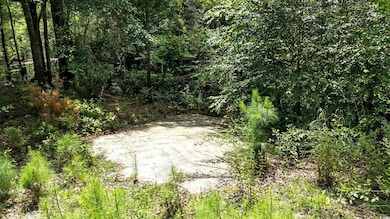 TBD Vance Ln, Nichols, SC 29581 - photo 3