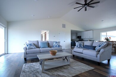 24801 Summit Ct, Cedaredge, CO 81413 - photo 5