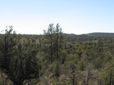 Lot 6B Valley Rd unit 6B, Payson, AZ 85541 - photo 3