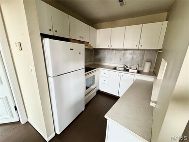 209 N Humboldt St unit 2, Marine, IL 62061 - photo 5