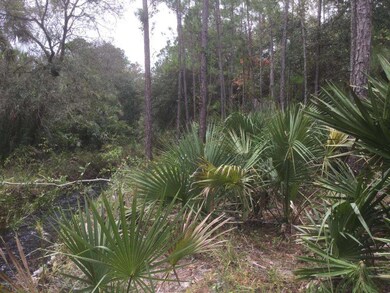 another view