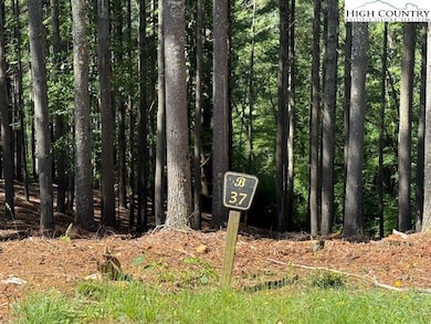 Lot 37 Smoke Rise Path, West Jefferson, NC 28694 - photo 2