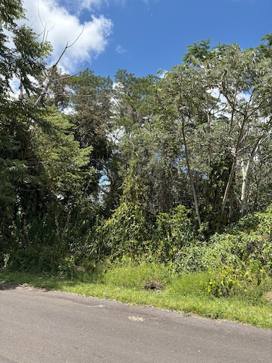 0 Anthurium Dr unit 720372, Pahoa, HI 96778 - photo 2