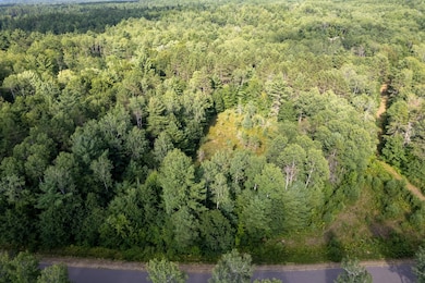 ON Malby Lake Rd, Minocqua, WI 54548 - photo 3