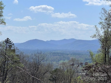 44 Samuel Ashe Dr unit 55, Asheville, NC 28805 - photo 5