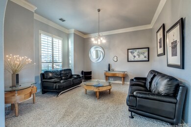 710 Ruidosa Downs, Helotes, TX 78023 - photo 7