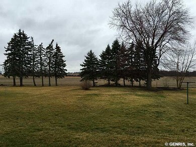 Backyard.