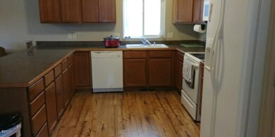 IMG_0882
