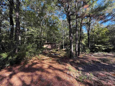 000 Eastwood Dr, Thicket, TX 77374 - photo 2