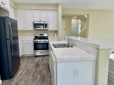 17409 Pheasant Downs Rd, Lathrop, CA 95330 - photo 4